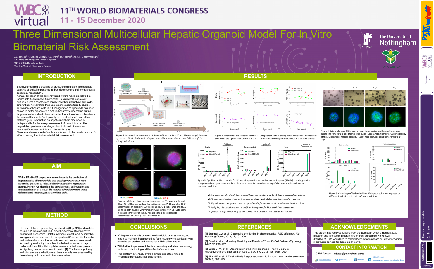 PosterSessionOnline